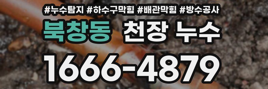 북창동 천장 누수
