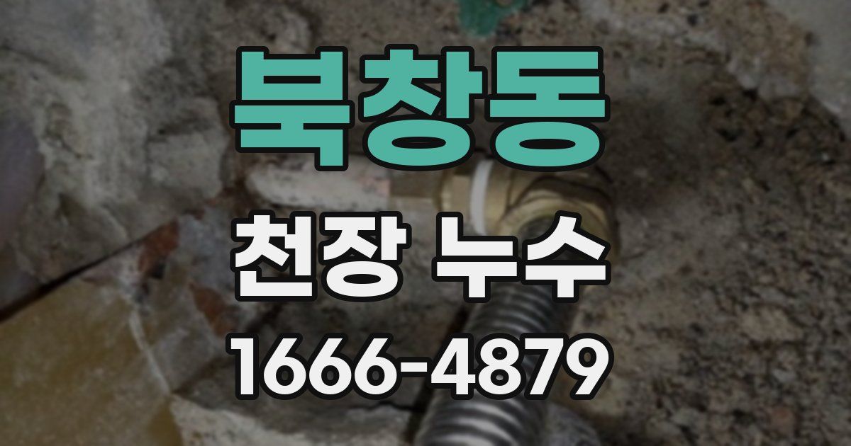 북창동 천장 누수