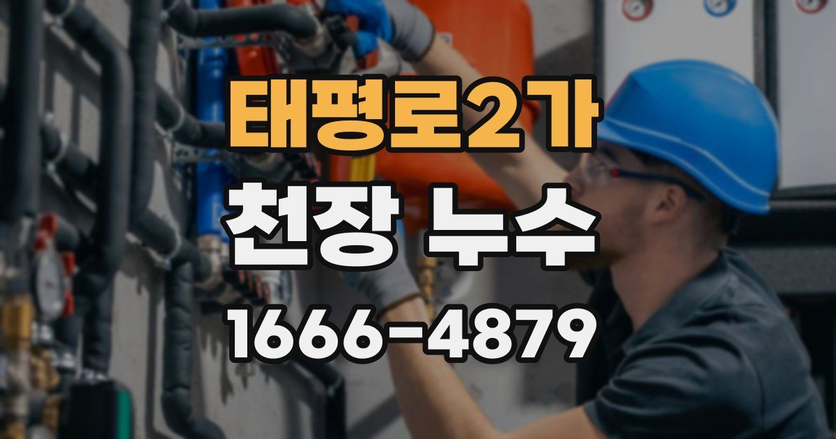 태평로2가 천장 누수