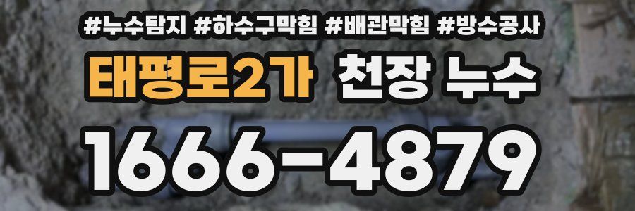 태평로2가 천장 누수