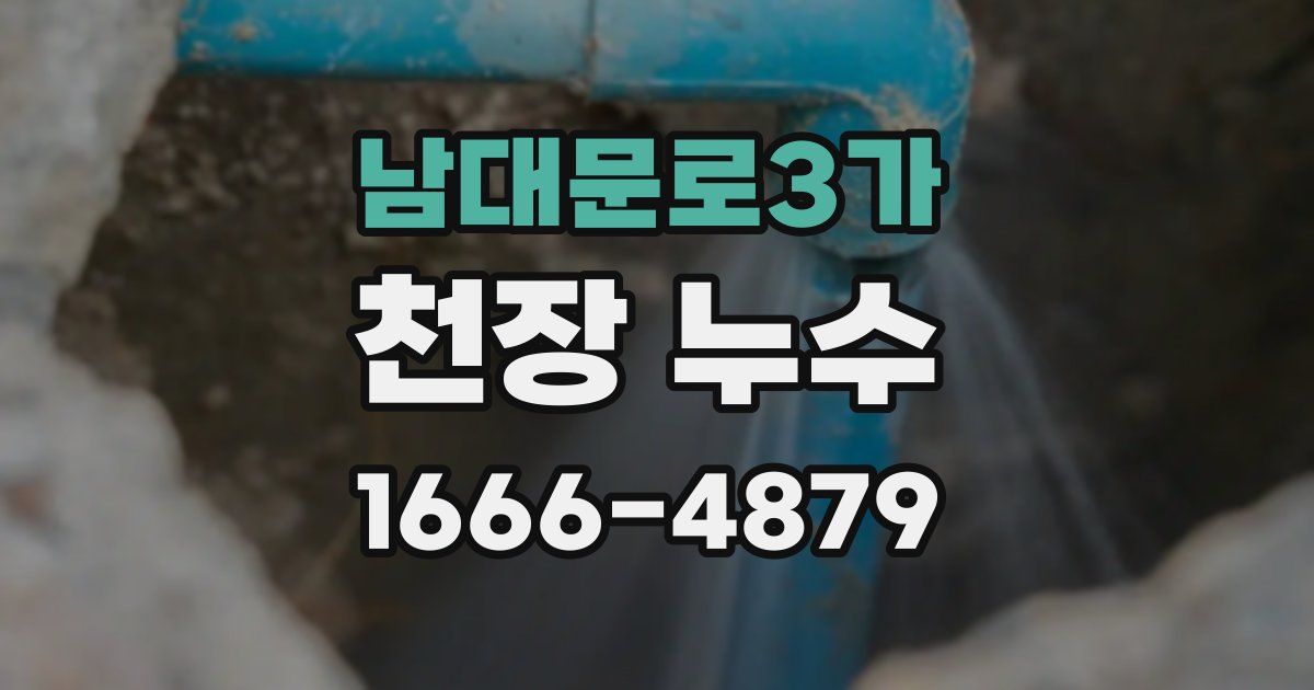 남대문로3가 천장 누수