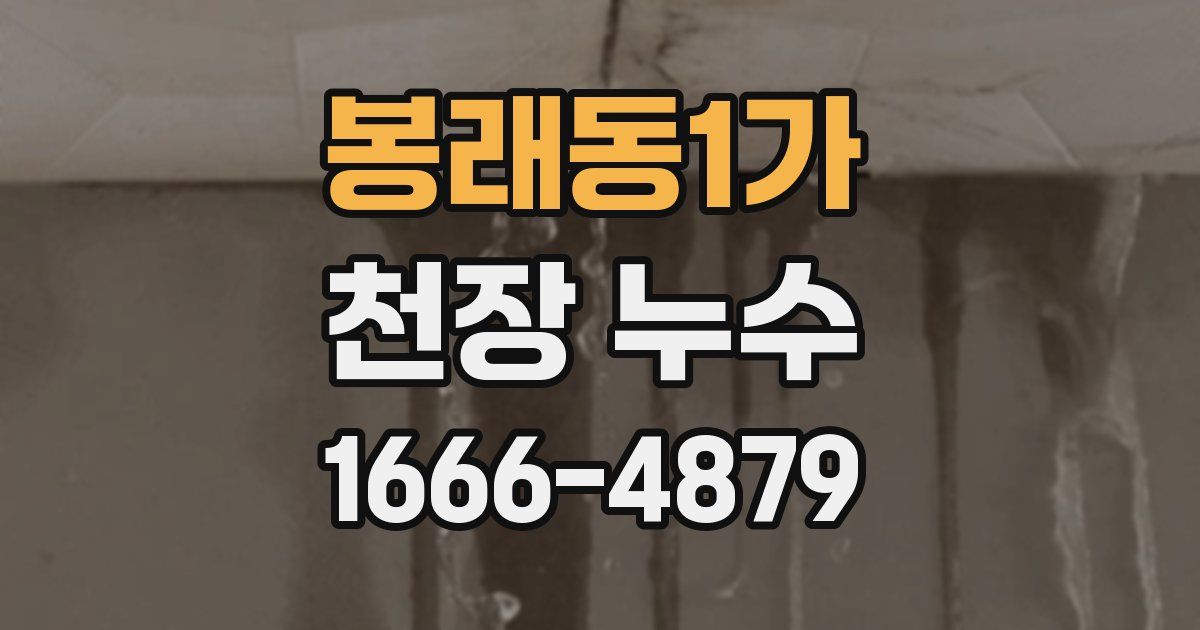 봉래동1가 천장 누수