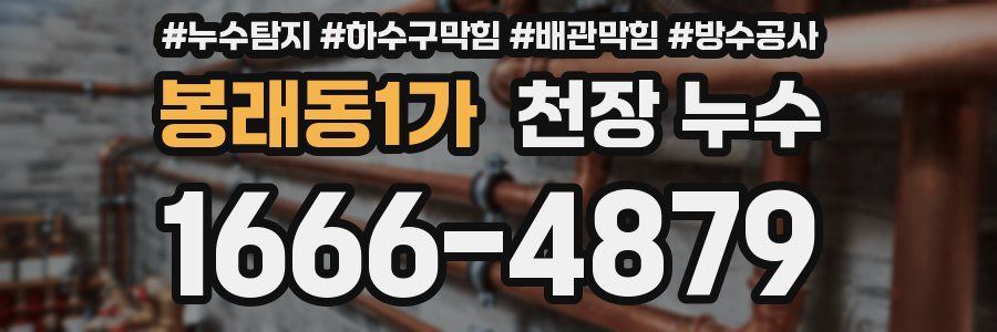 봉래동1가 천장 누수
