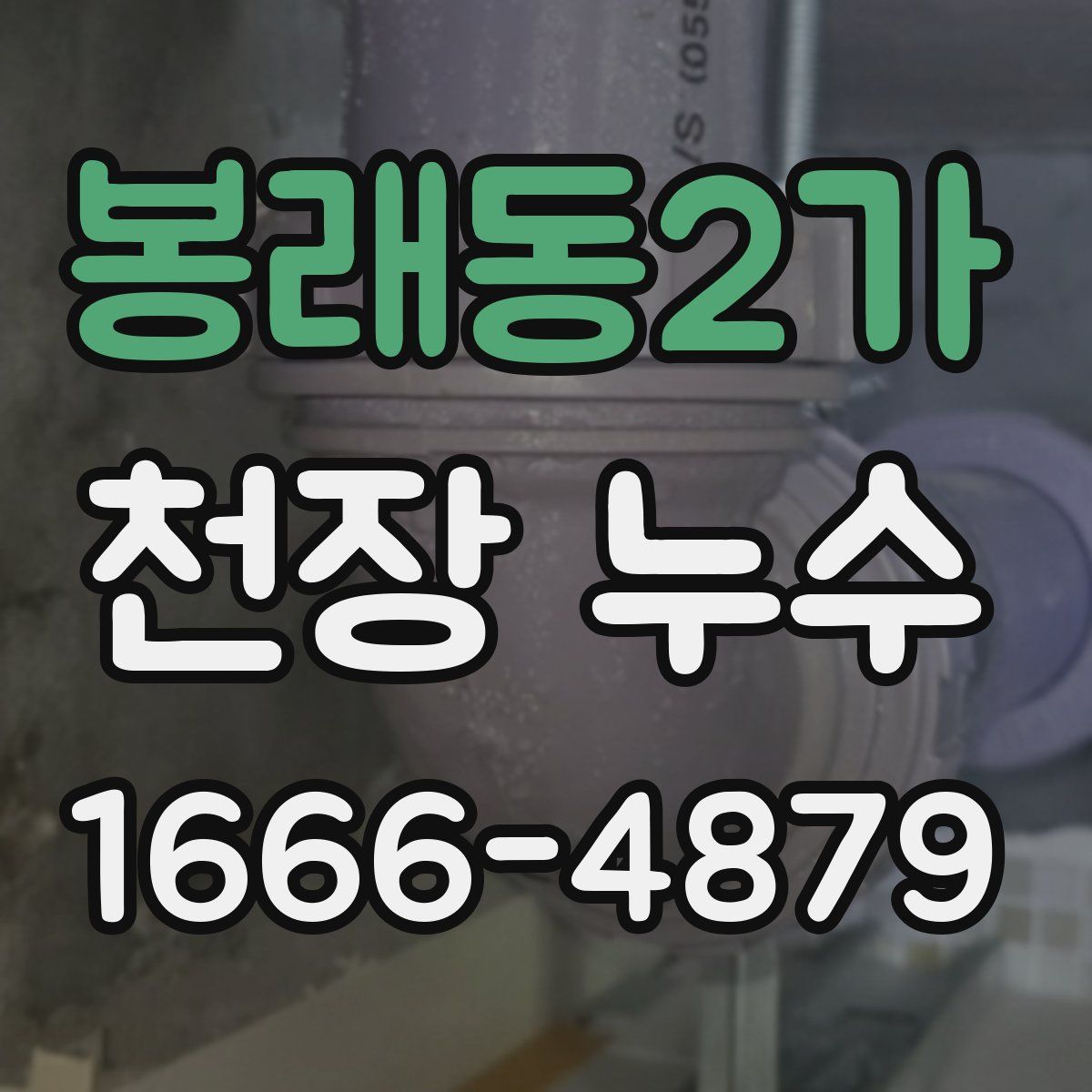 봉래동2가 천장 누수