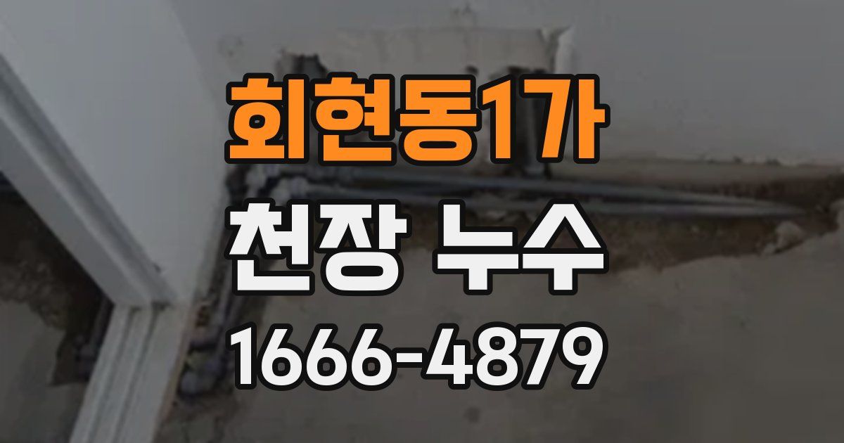 회현동1가 천장 누수