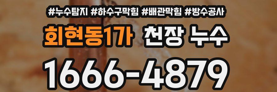 회현동1가 천장 누수
