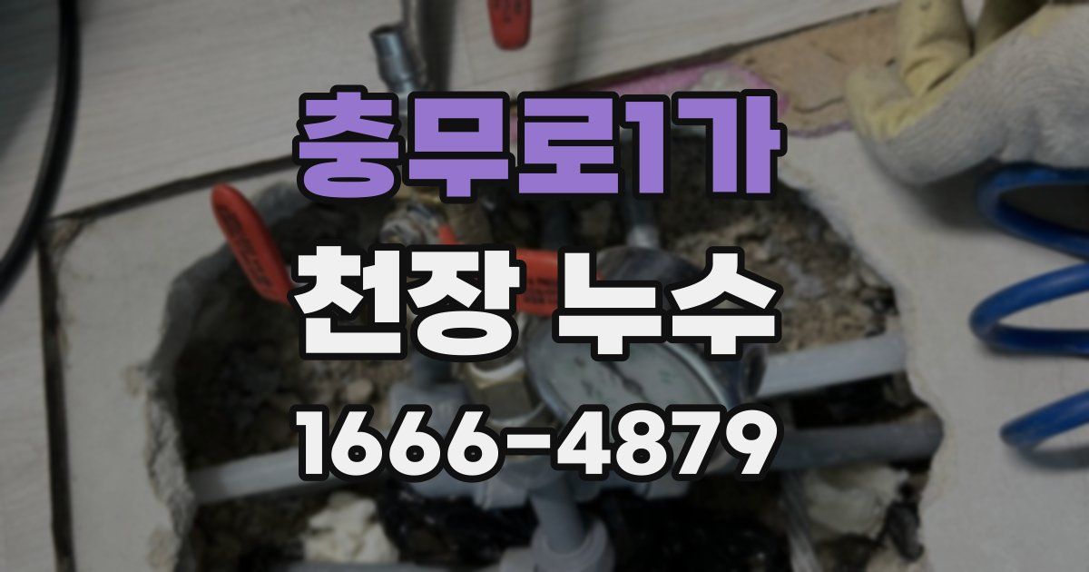 충무로1가 천장 누수