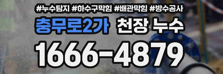 충무로2가 천장 누수