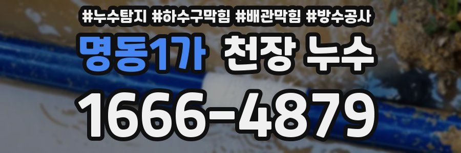 명동1가 천장 누수
