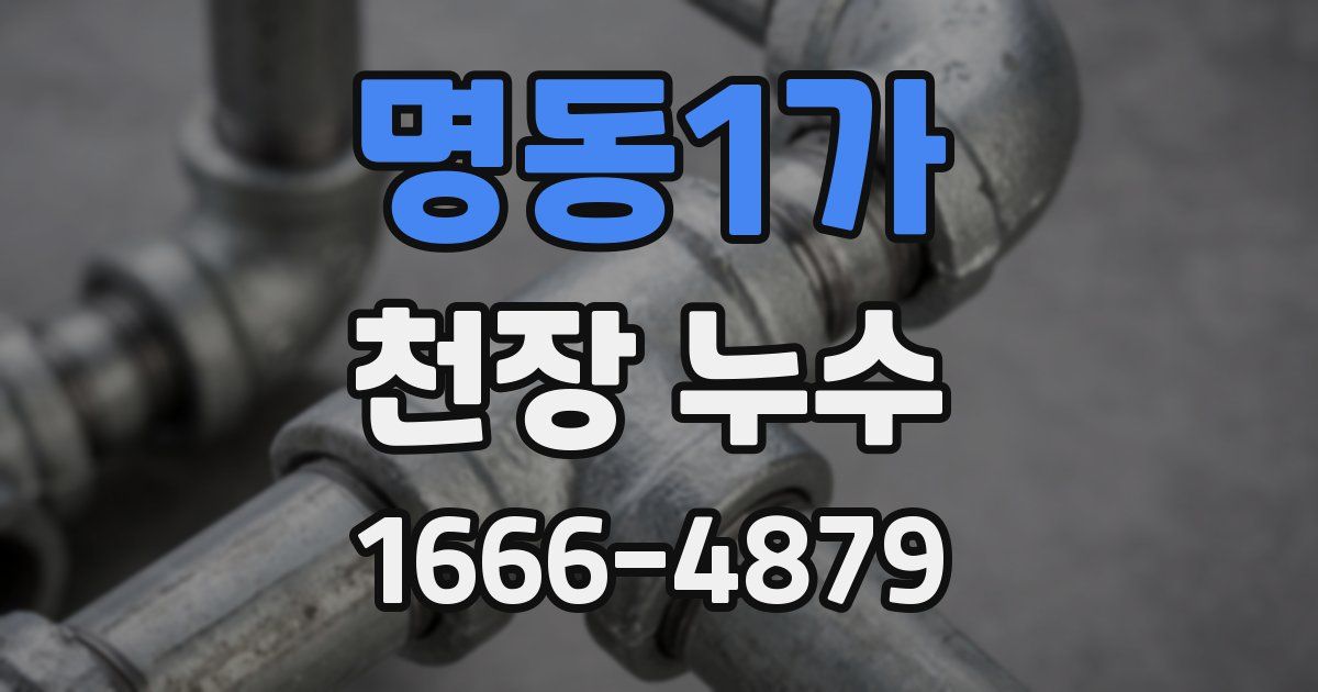 명동1가 천장 누수
