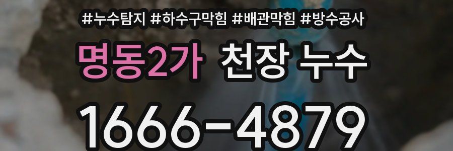 명동2가 천장 누수