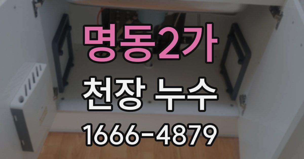 명동2가 천장 누수