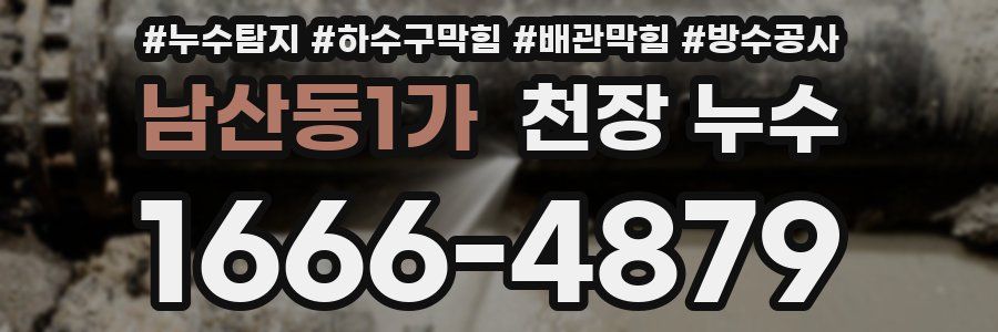 남산동1가 천장 누수