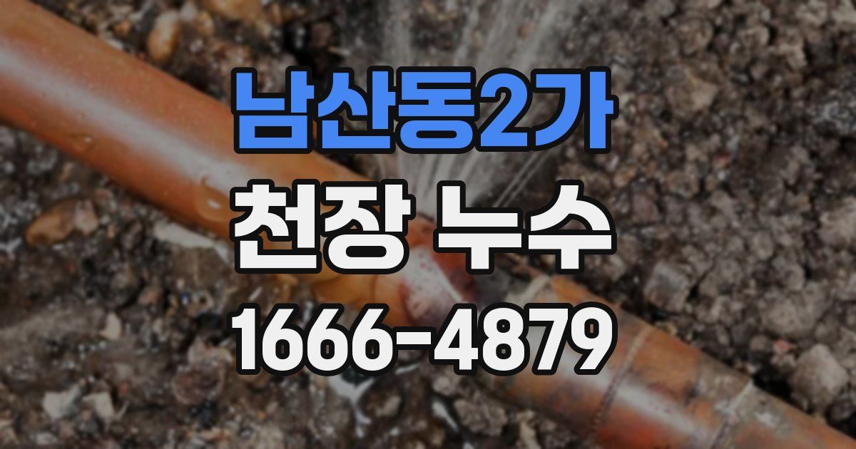 남산동2가 천장 누수