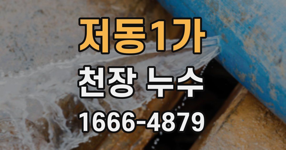 저동1가 천장 누수