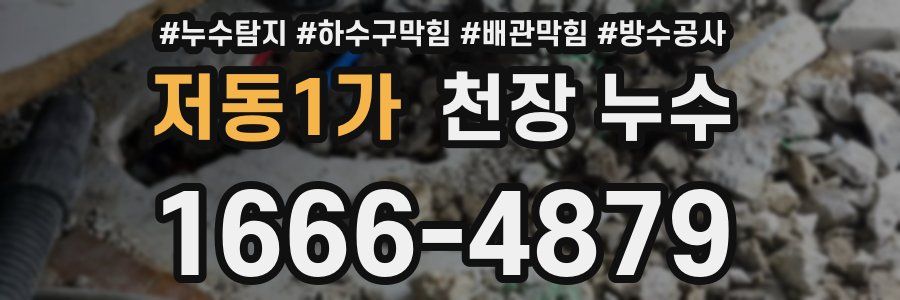 저동1가 천장 누수