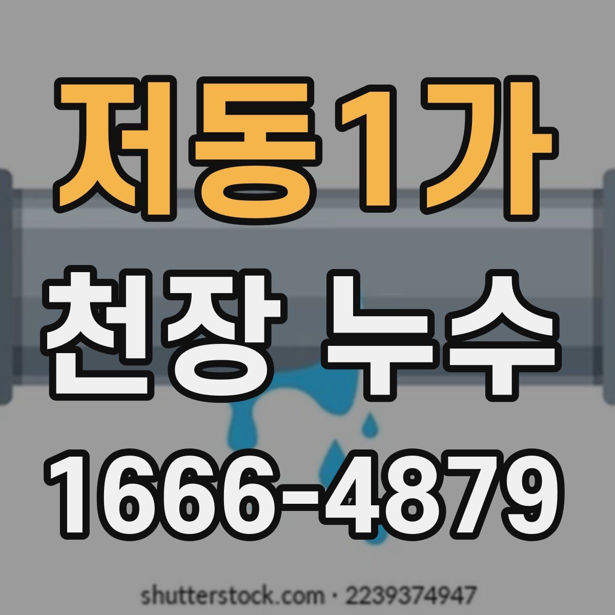 저동1가 천장 누수