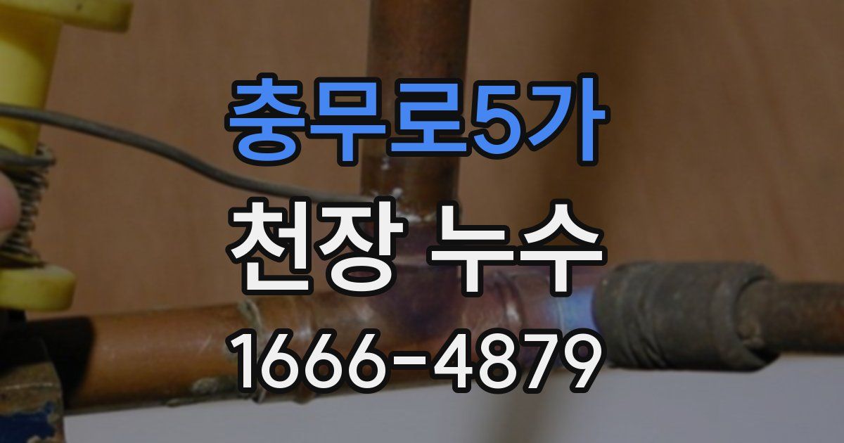 충무로5가 천장 누수