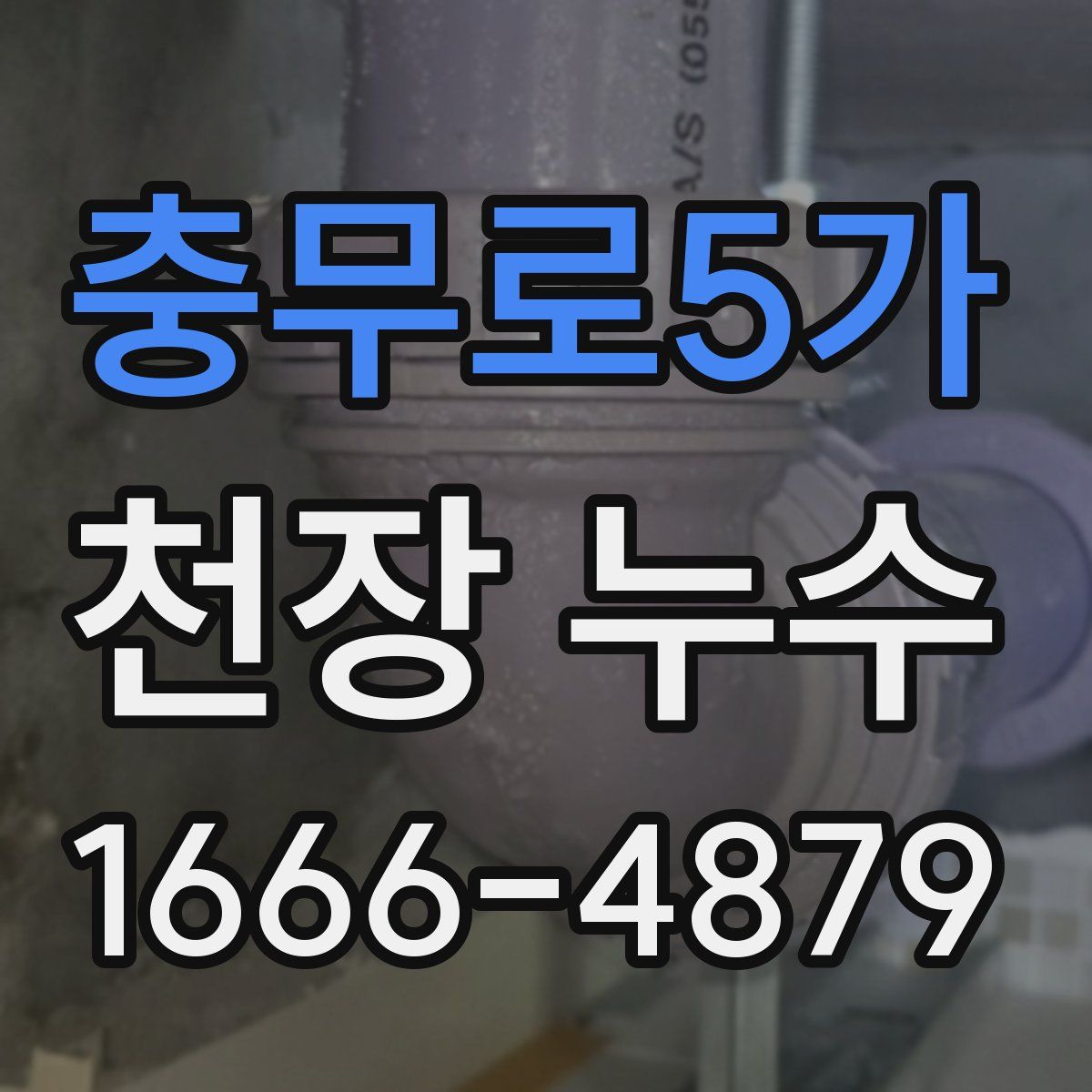 충무로5가 천장 누수