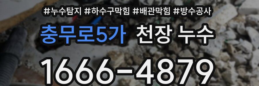 충무로5가 천장 누수