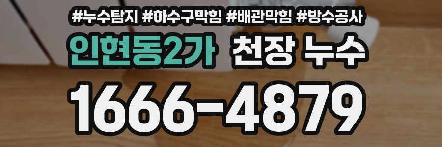 인현동2가 천장 누수