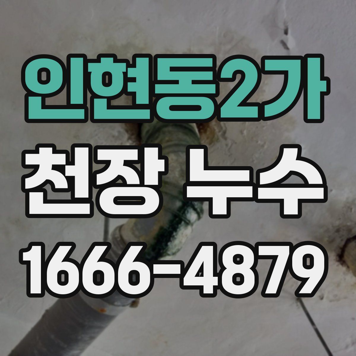 인현동2가 천장 누수