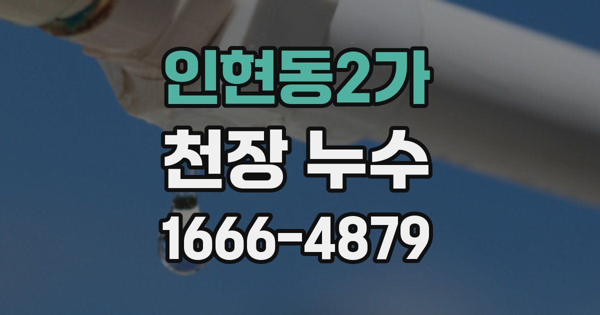 인현동2가 천장 누수