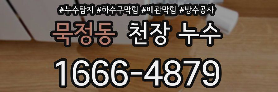 묵정동 천장 누수