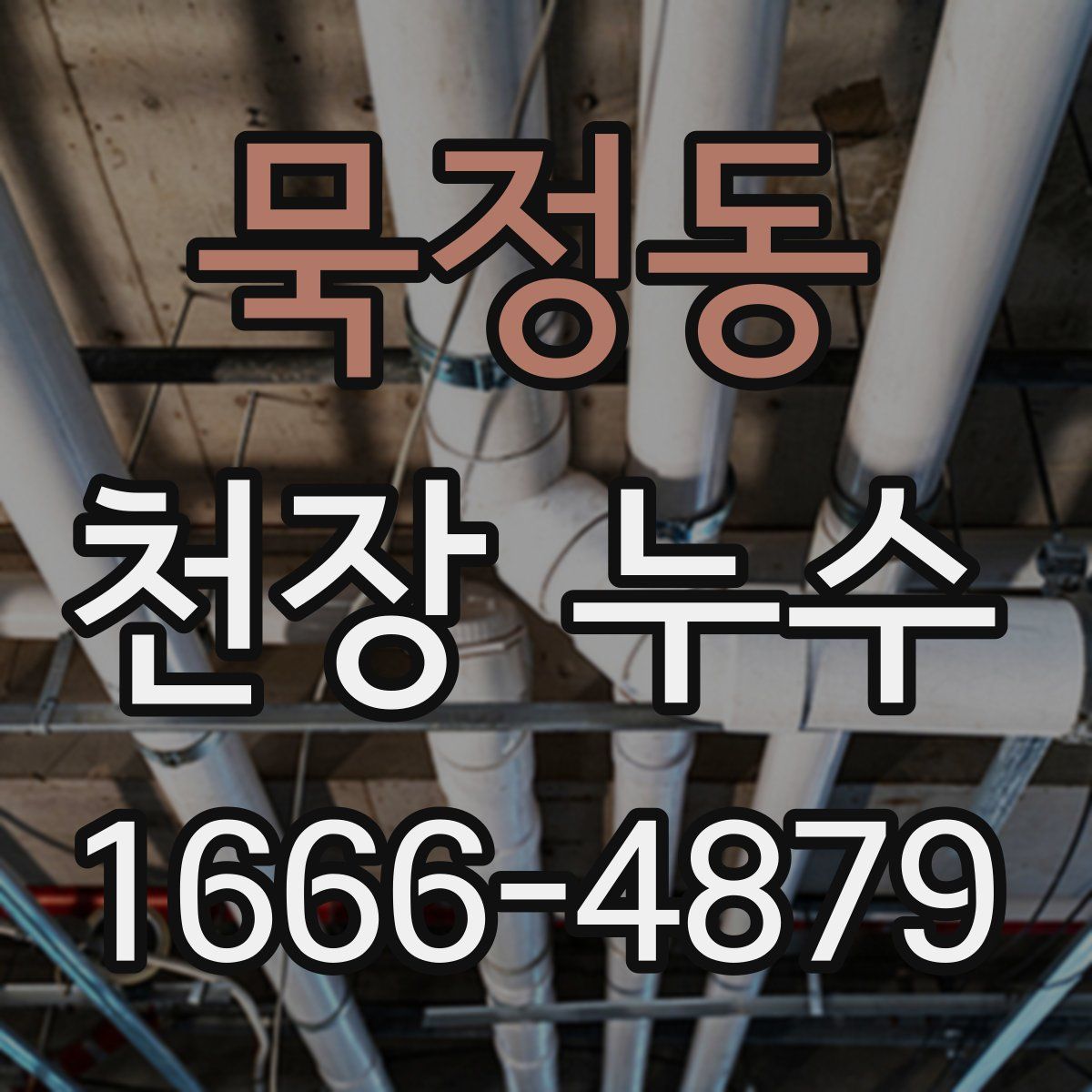 묵정동 천장 누수