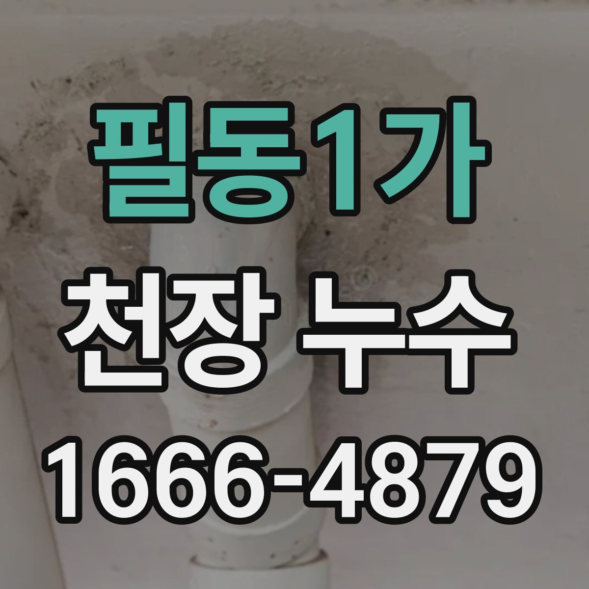 필동1가 천장 누수