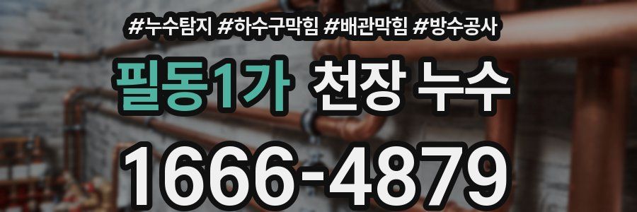 필동1가 천장 누수
