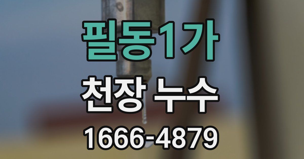 필동1가 천장 누수