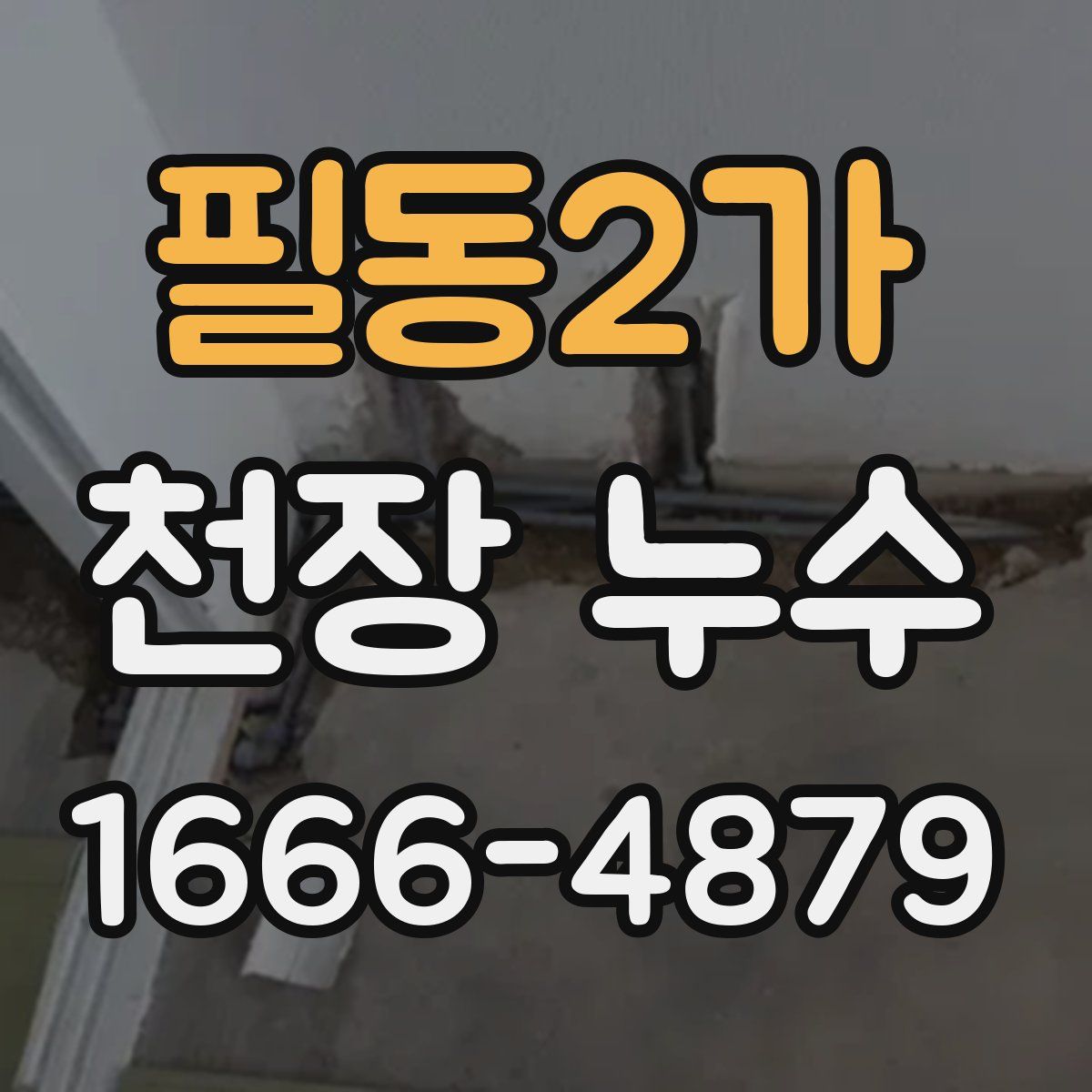 필동2가 천장 누수