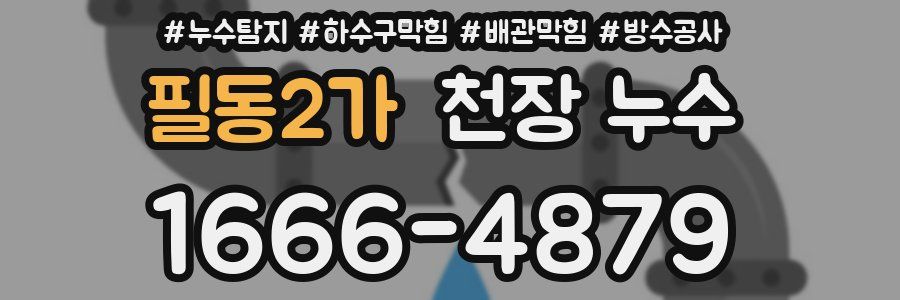 필동2가 천장 누수