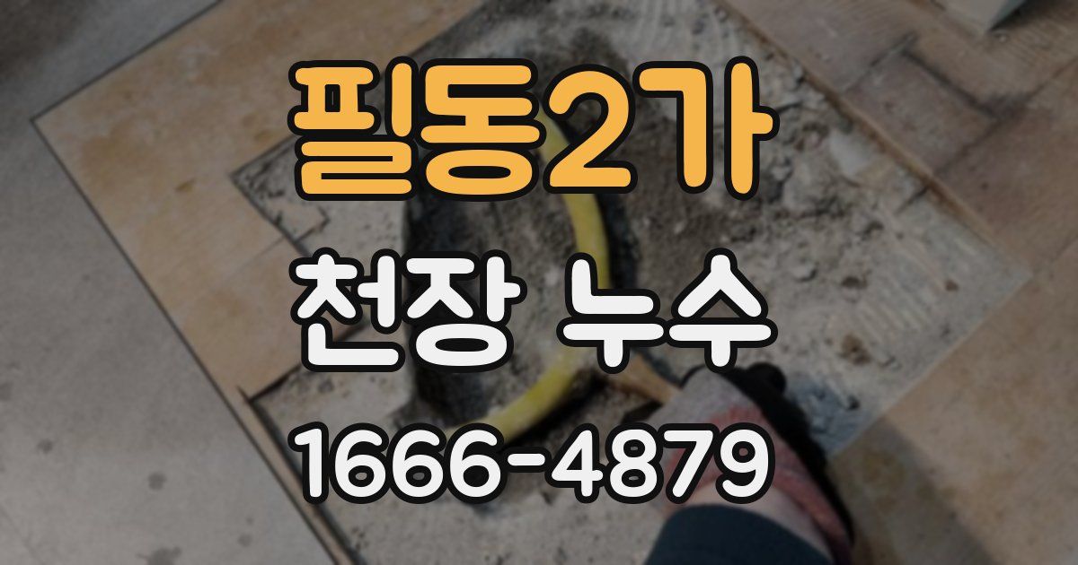 필동2가 천장 누수
