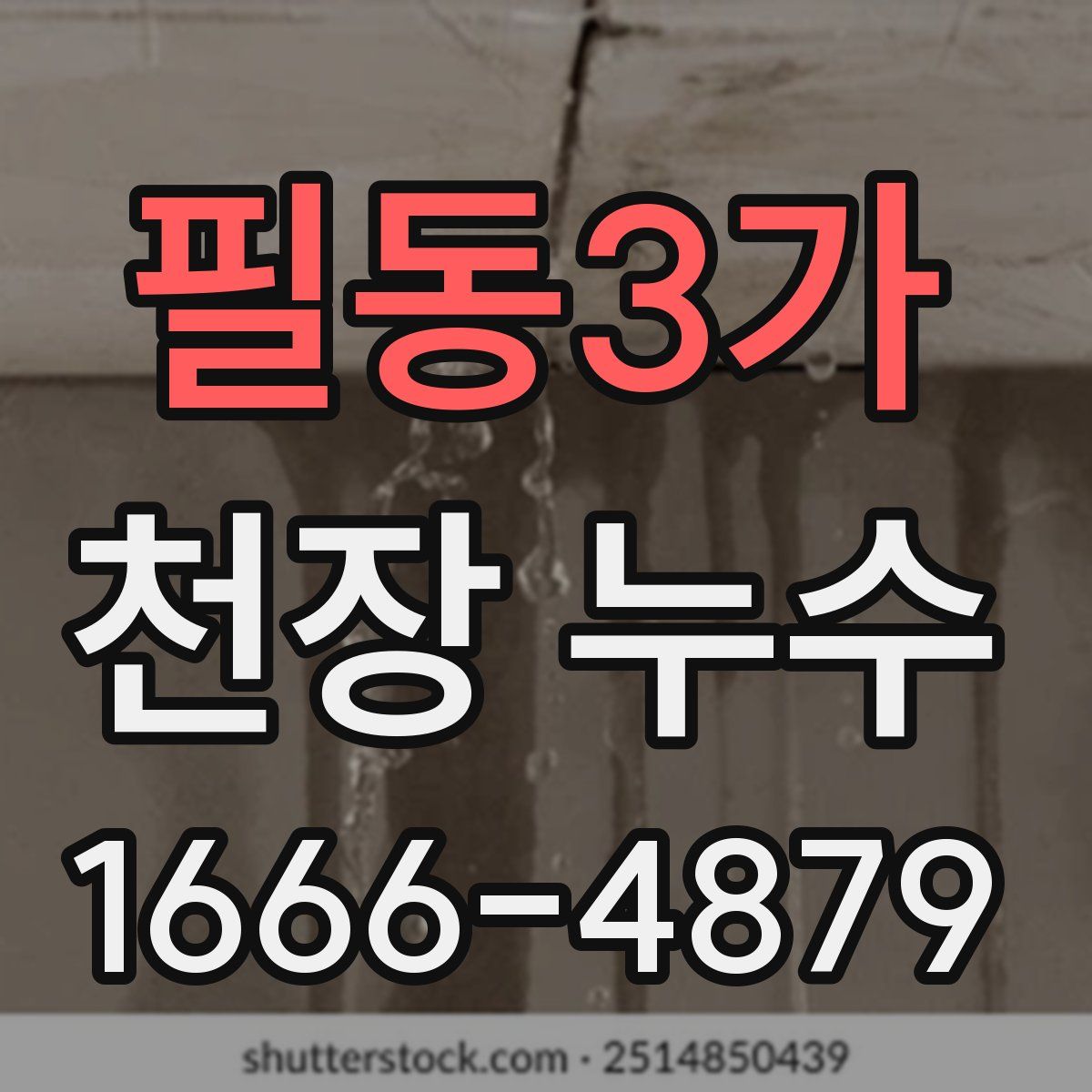 필동3가 천장 누수