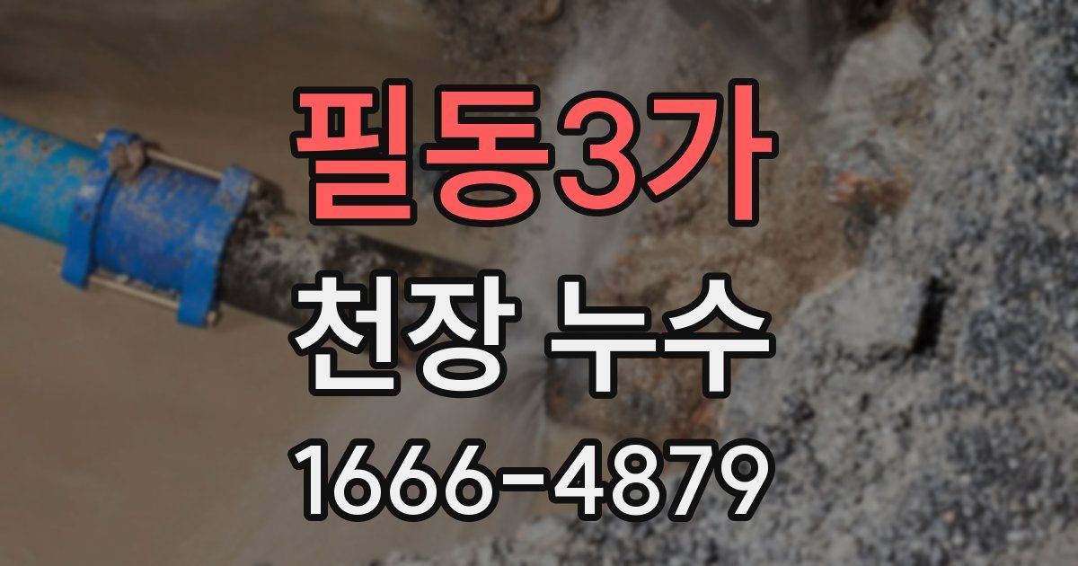 필동3가 천장 누수