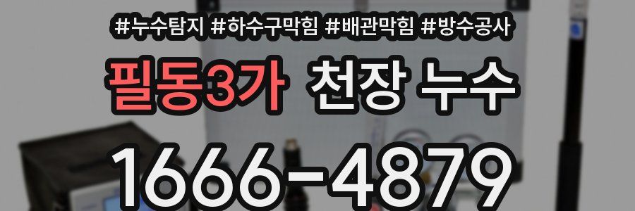 필동3가 천장 누수