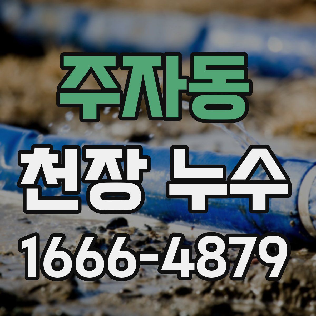 주자동 천장 누수