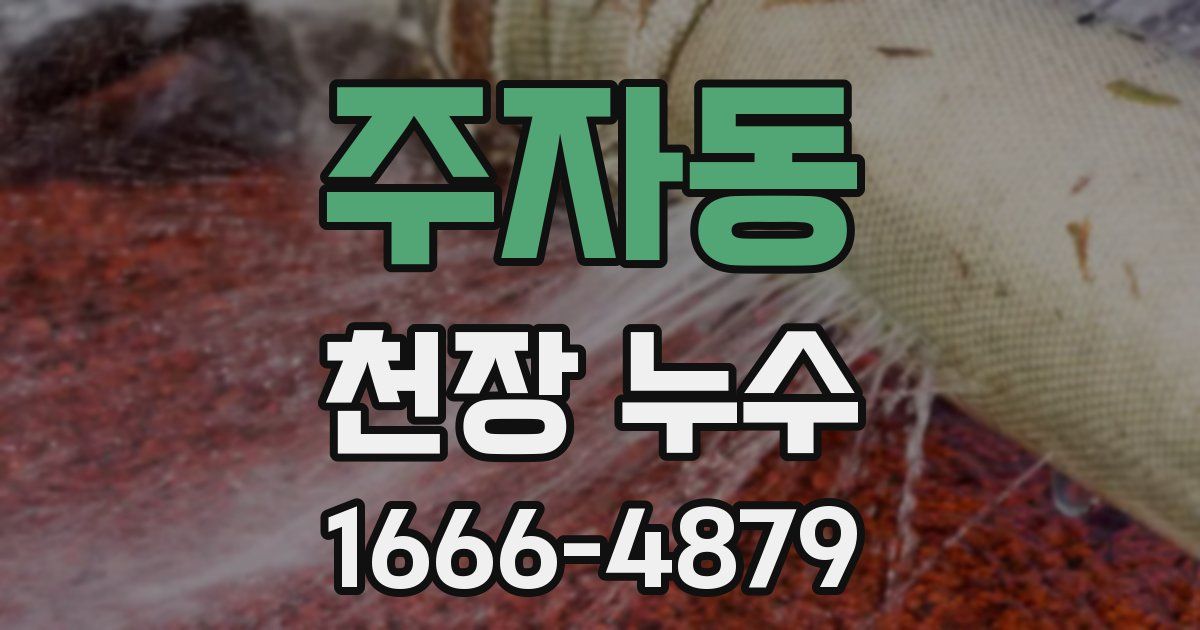 주자동 천장 누수