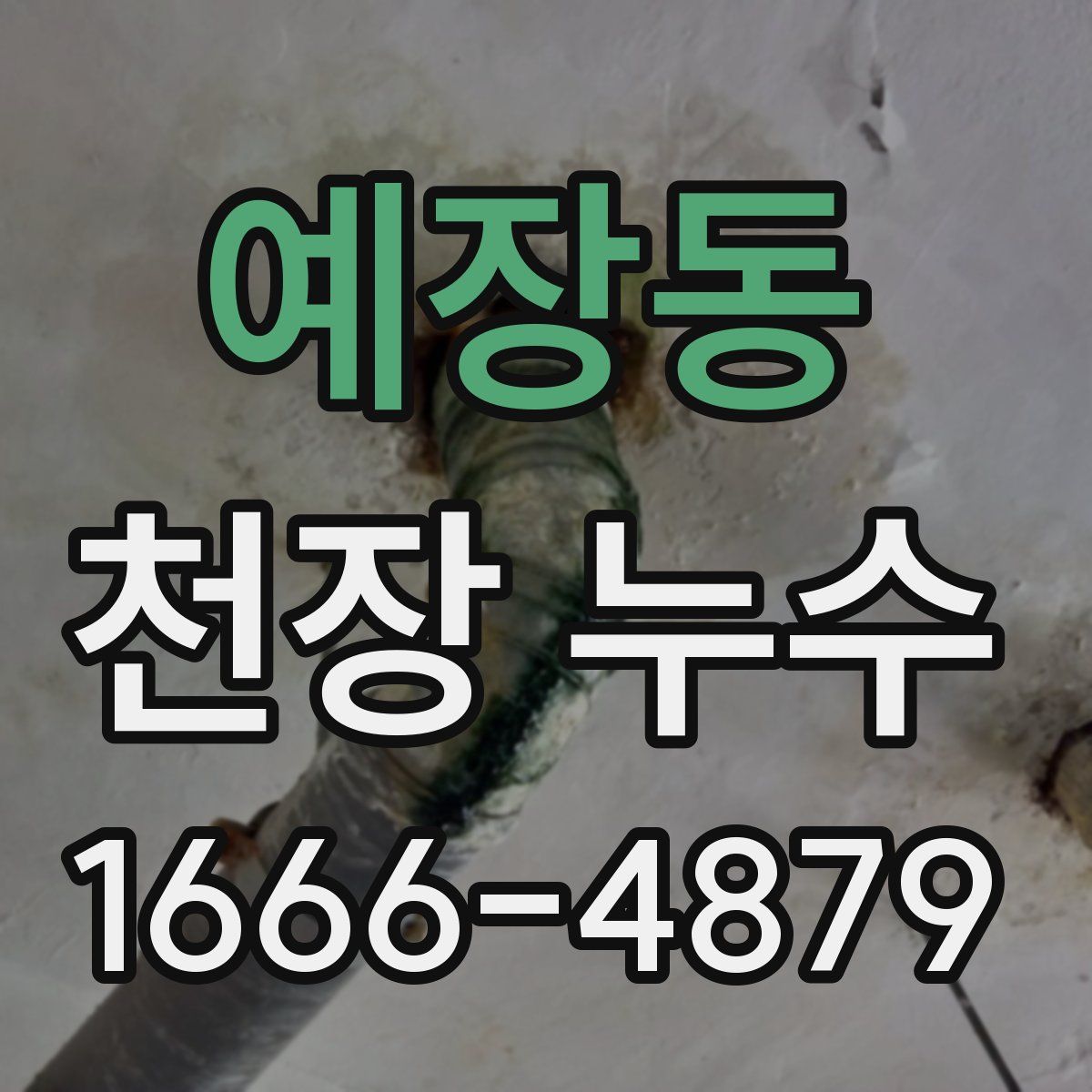 예장동 천장 누수