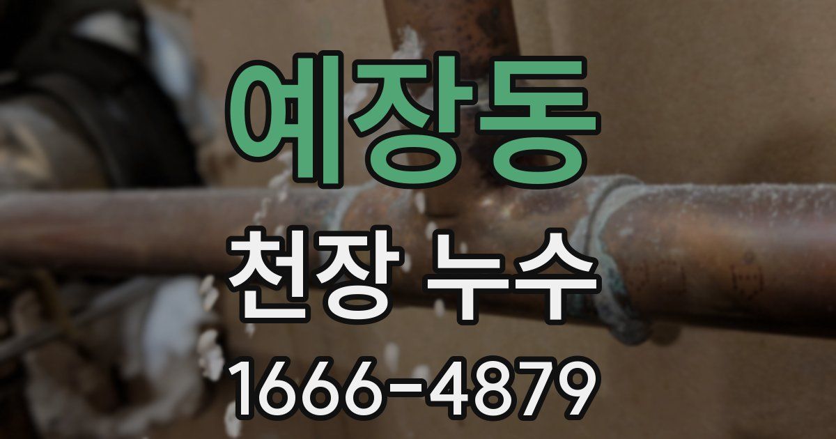 예장동 천장 누수
