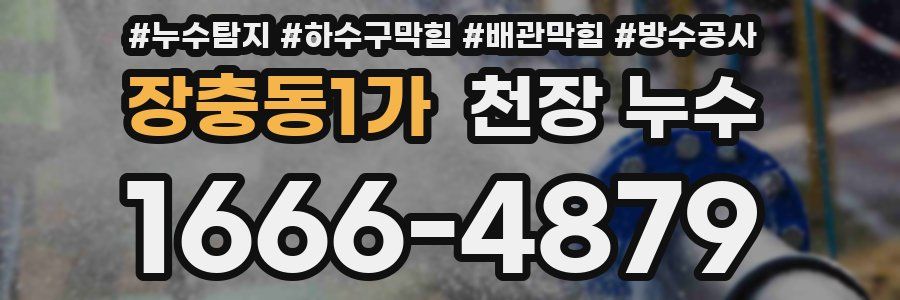장충동1가 천장 누수