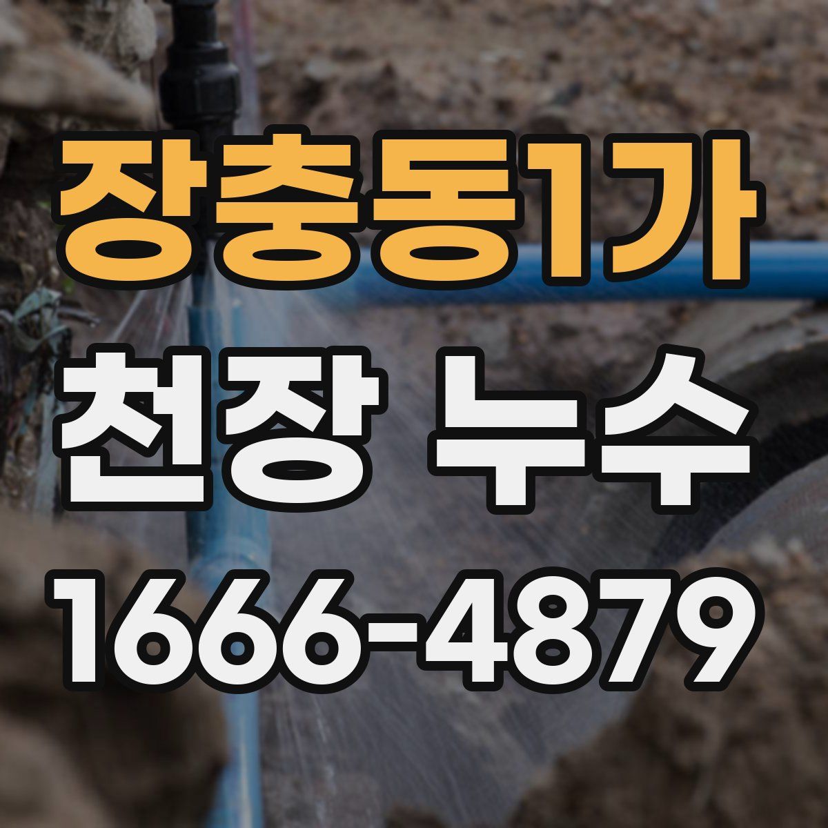 장충동1가 천장 누수