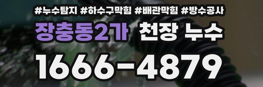 장충동2가 천장 누수