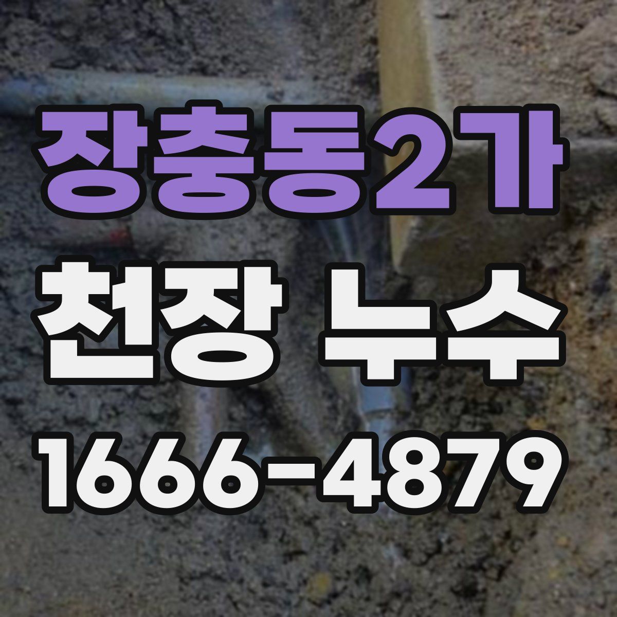 장충동2가 천장 누수