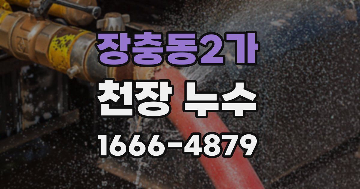 장충동2가 천장 누수