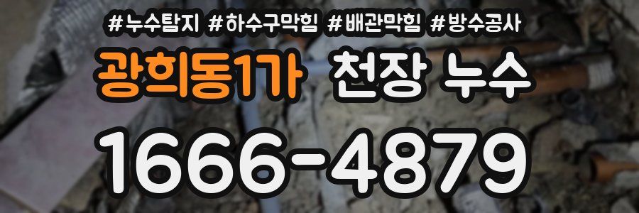 광희동1가 천장 누수