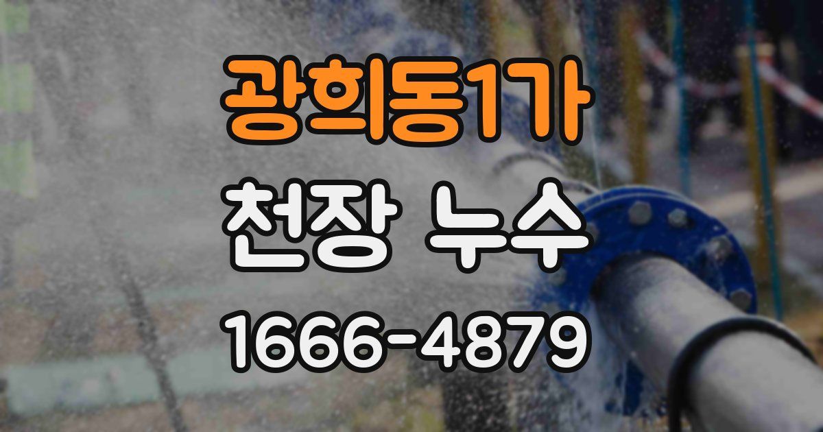 광희동1가 천장 누수