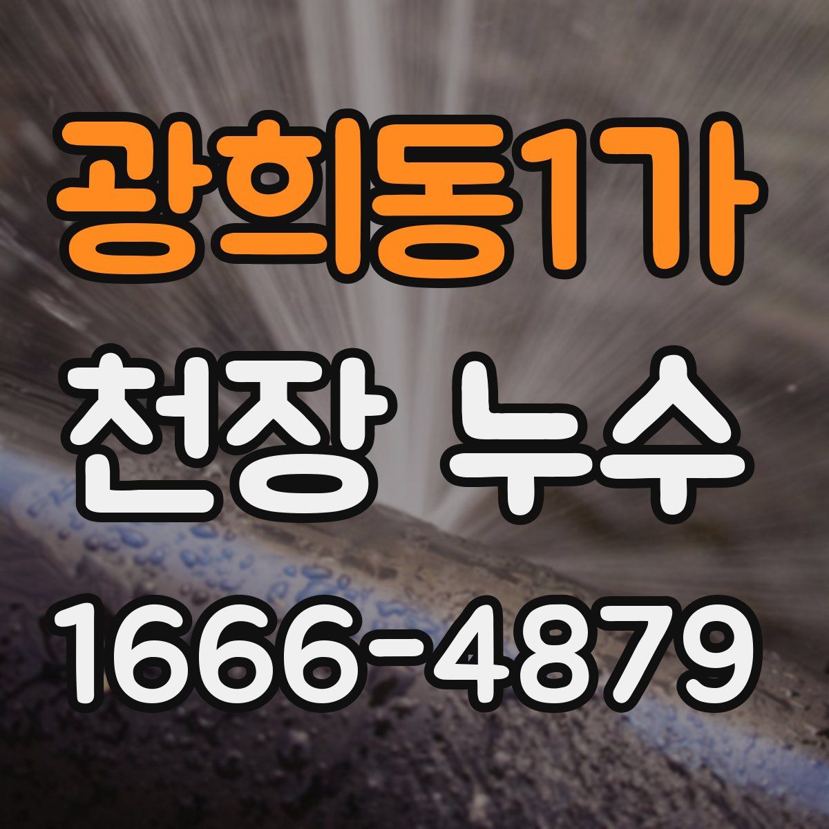 광희동1가 천장 누수